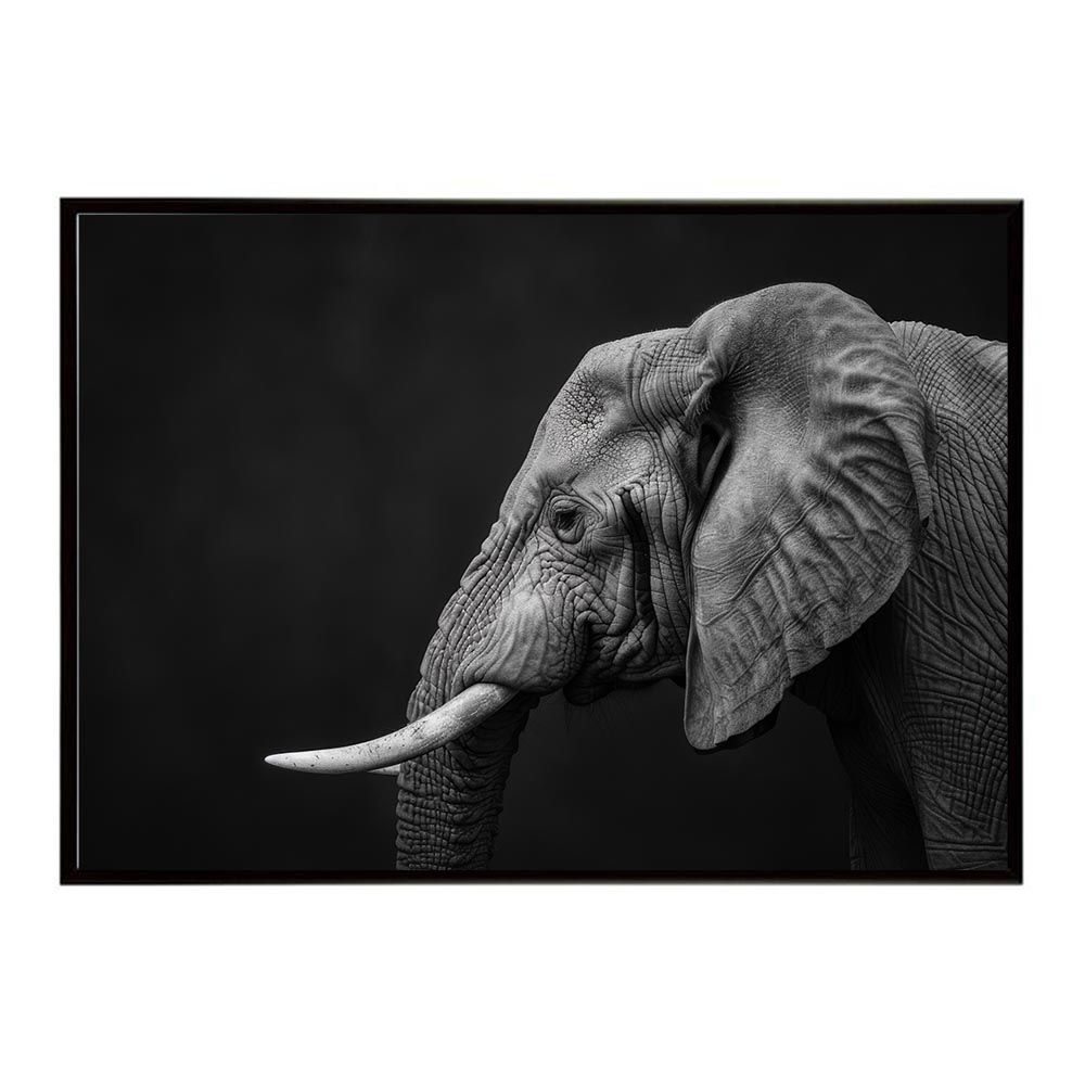 B2サイズ（約51x73cm）】【lh-poster-7122】Elephant ゾウ