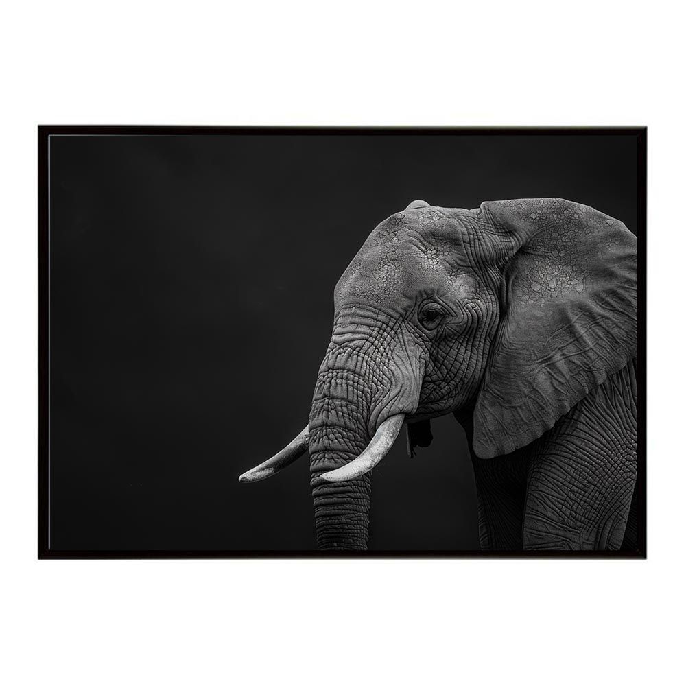 コールマン テント&タープ Monro(モンロ)