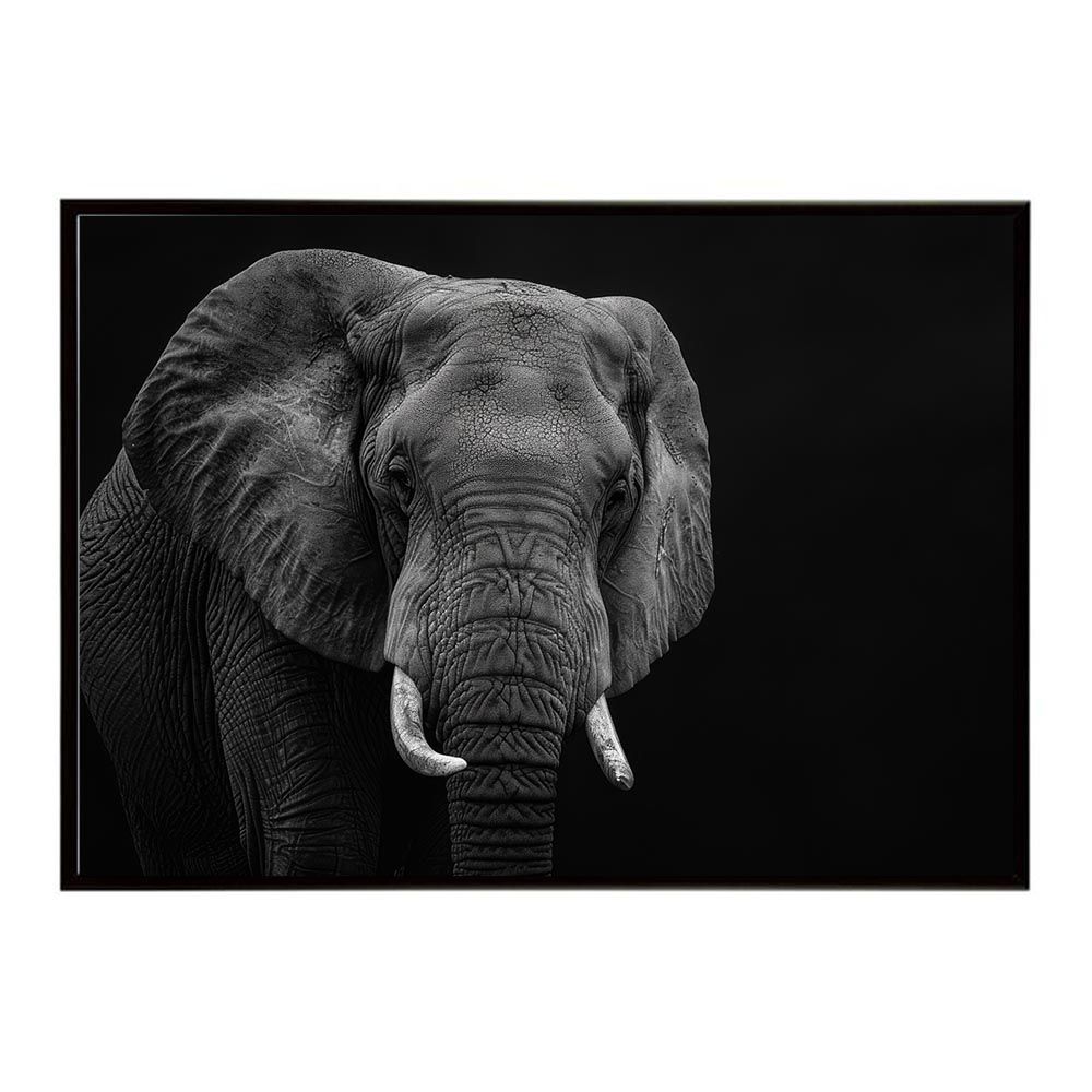 【A1サイズ（約59x84cm）】【lh-poster-7132】Elephant ゾウ エレファント サバンナ アフリカ 草原 自然 ネイチャー 動物 アニマル 野生動物 インテリア フォト