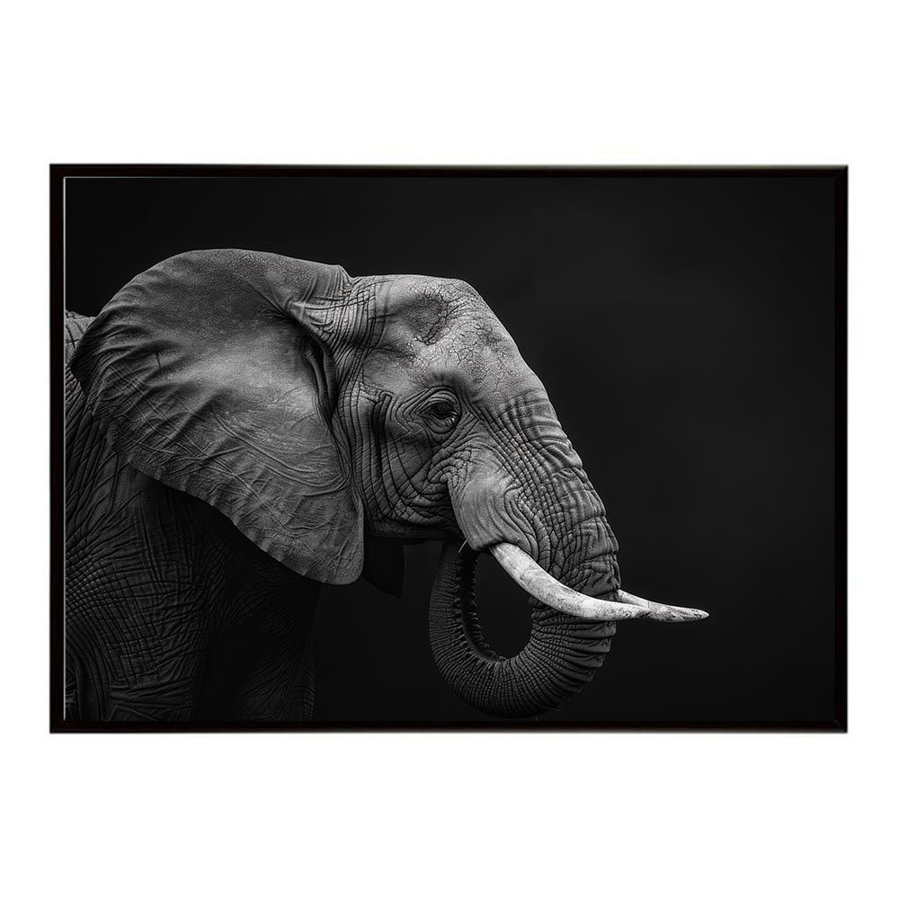 B2サイズ（約51x73cm）】【lh-poster-7145】Elephant ゾウ オンライン