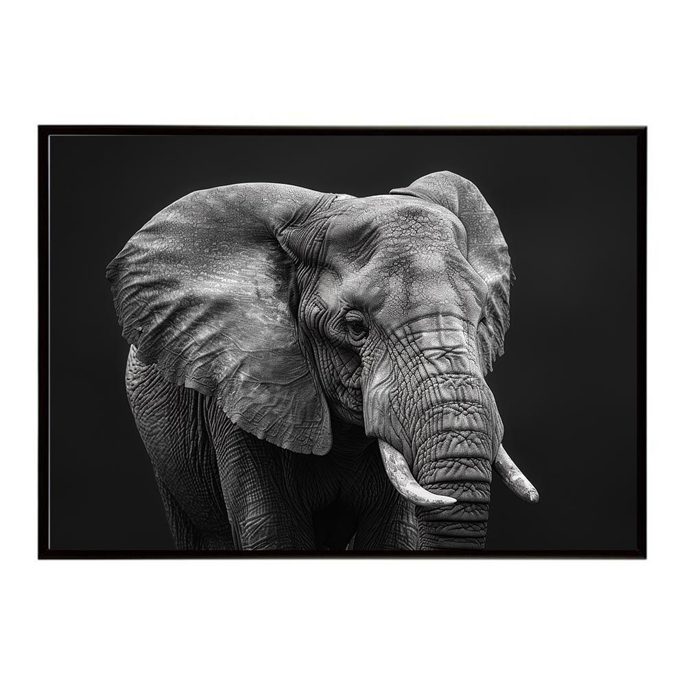 A1サイズ（約59x84cm）】【lh-poster-7151】Elephant ゾウ エレファント 最も安い サバンナ アフリカ 草原 自然