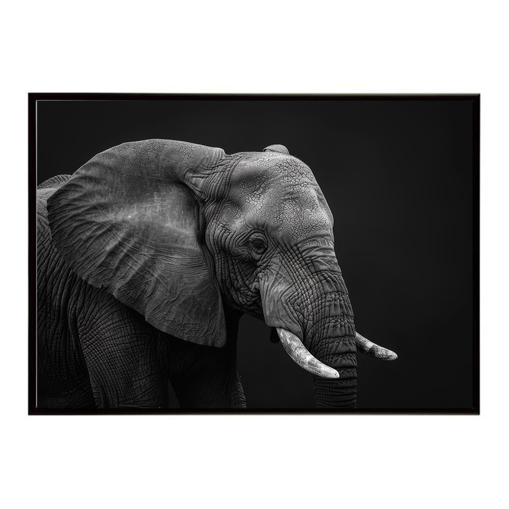 B2サイズ（約51x73cm）】【lh-poster-7162】Elephant ゾウ