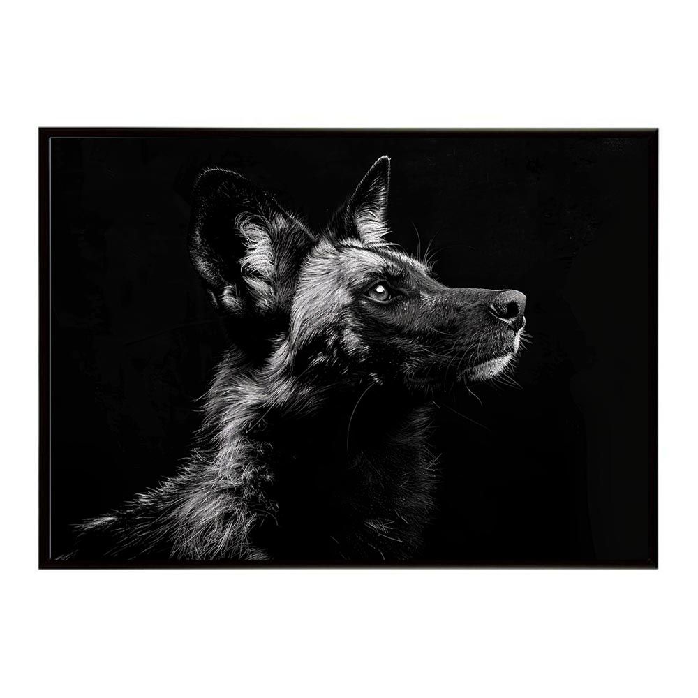 【B2サイズ（約51x73cm）】【lh-poster-7186】African wild dog アフリカンワイルドドック リカオン コヨーテ 犬 ハイエナ サバンナ アフリカ 草原 自然 ネイチャー アニマル 野生動物 インテリア ポスター