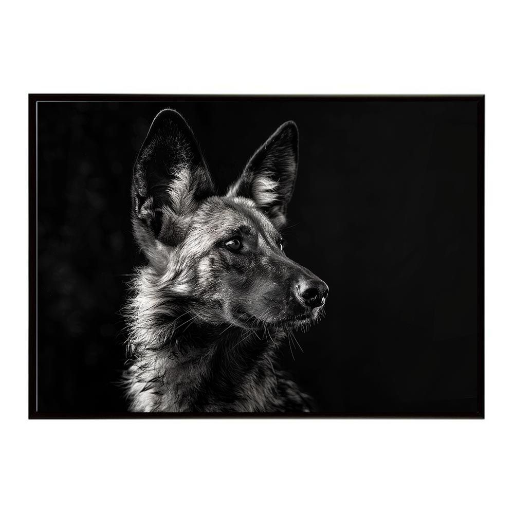 B2サイズ（約51x73cm）】【lh-poster-7188】African wild dog アフリカンワイルドドック リカオン コヨーテ 犬  ハイエナ サバンナ アフリカ 草原 自然 ネイチャー アニマル 野生動物 インテリア ポスター ブラックとシルバーのジャーマンシェパード 食器乾燥マットがたくさん。, image size:1000x1000