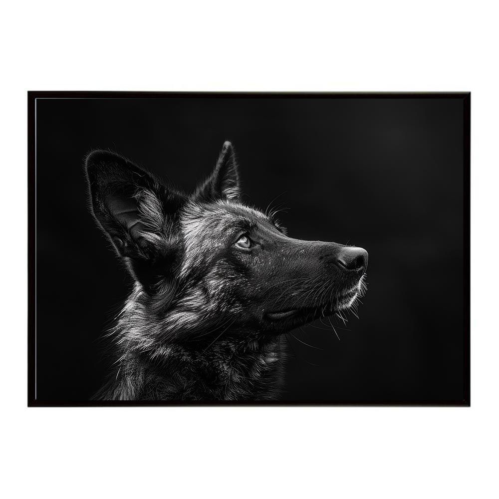 原由子 サザンオールスターズ うさぎの唄 8センチシングル8cm CD 短冊邦楽