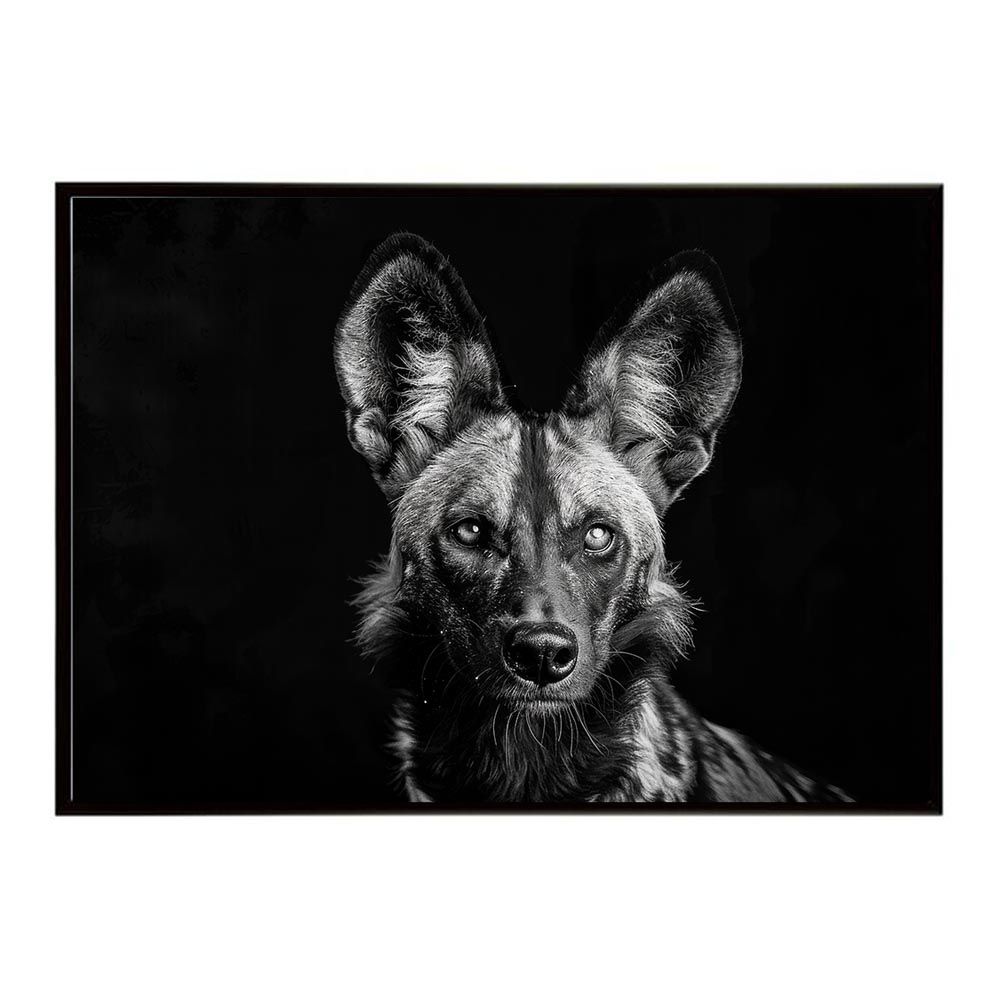 adidas ユニ アキュラシーインジェクション.3 FG サッカースパイク