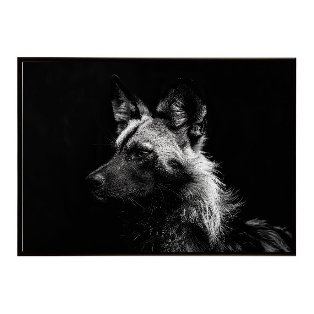 【B2サイズ（約51x73cm）】【lh-poster-7227】African wild dog アフリカンワイルドドック リカオン コヨーテ 犬 ハイエナ サバンナ アフリカ 草原 自然 ネイチャー アニマル 野生動物 インテリア ポスター