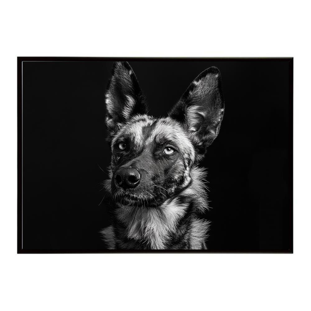 新品　バスケット　楕円ウェーブボウル　黄色とピンクのバラ　ポーランド食器　ミレナ 新品 バスケット 楕円ウェーブボウル 黄色とピンクのバラ ポーランド