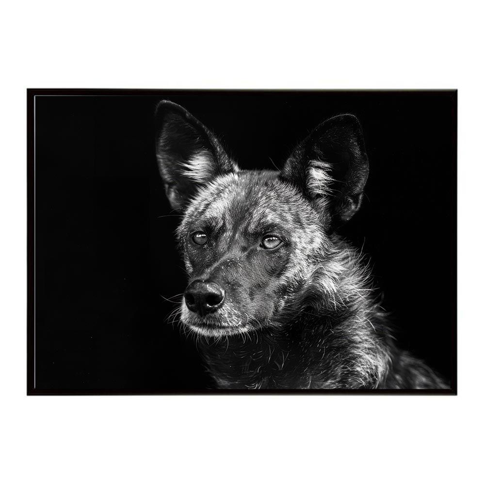 AD2021 21AW ウール縮絨ペンギンパンツ サルエル 黒