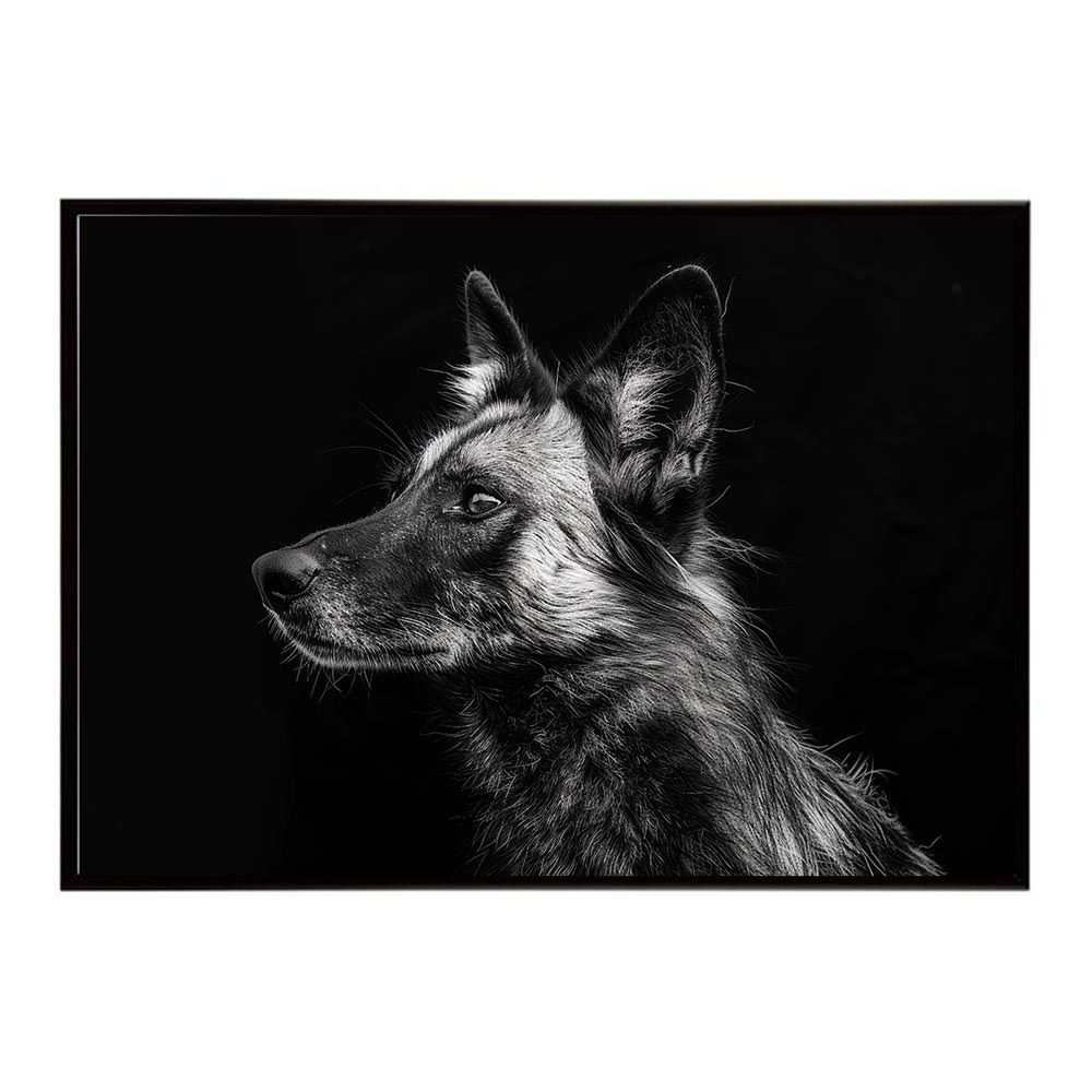 【B2サイズ（約51x73cm）】【lh-poster-7234】African wild dog アフリカンワイルドドック リカオン コヨーテ 犬 ハイエナ サバンナ アフリカ 草原 自然 ネイチャー アニマル 野生動物 インテリア ポスター