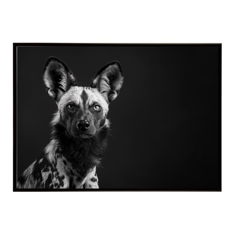 【A2サイズ（約42x59cm）】【lh-poster-7239】African wild dog アフリカンワイルドドック リカオン コヨーテ 犬 ハイエナ サバンナ アフリカ 草原 自然 ネイチャー アニマル 野生動物 インテリア ポスター