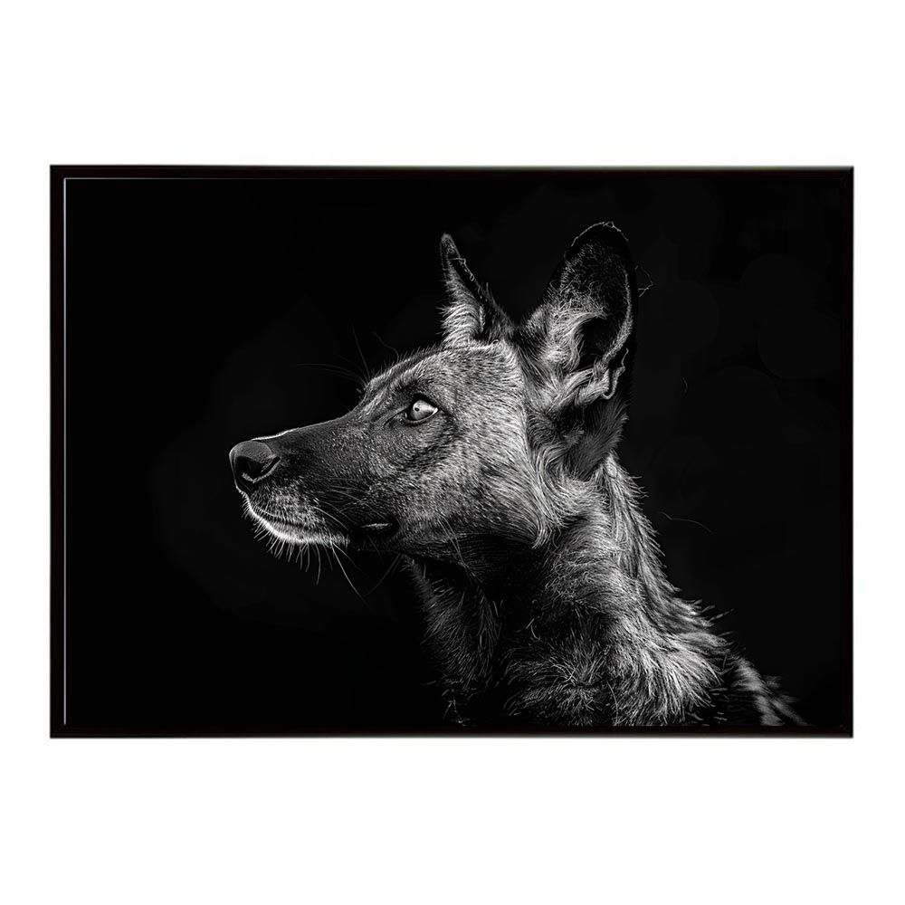 【A2サイズ（約42x59cm）】【lh-poster-7241】African wild dog アフリカンワイルドドック リカオン コヨーテ 犬 ハイエナ サバンナ アフリカ 草原 自然 ネイチャー アニマル 野生動物 インテリア ポスター
