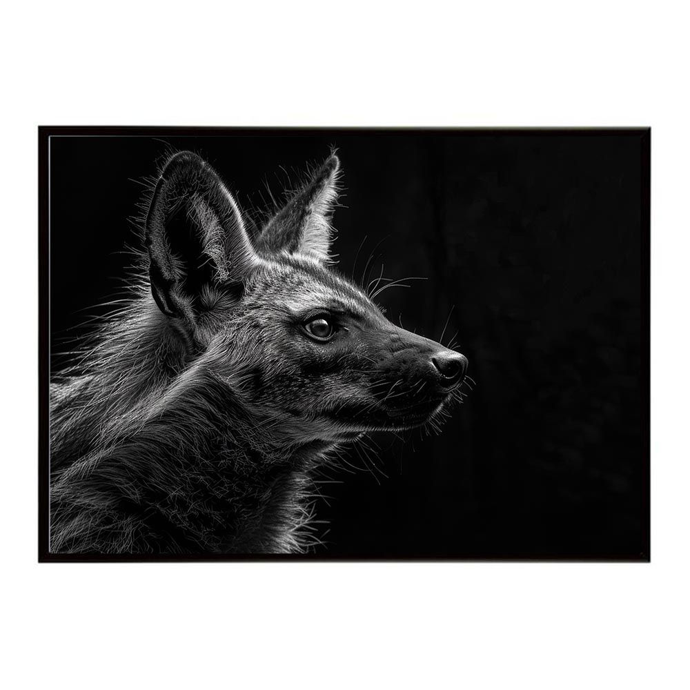 ベルモア パフジャケット XL AK-69