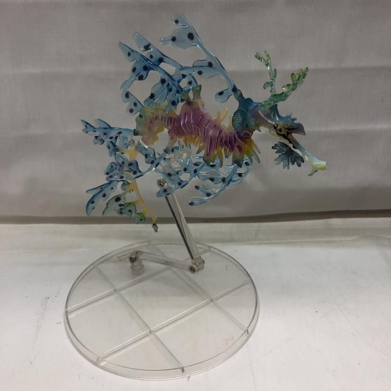 開封 いきもの大図鑑