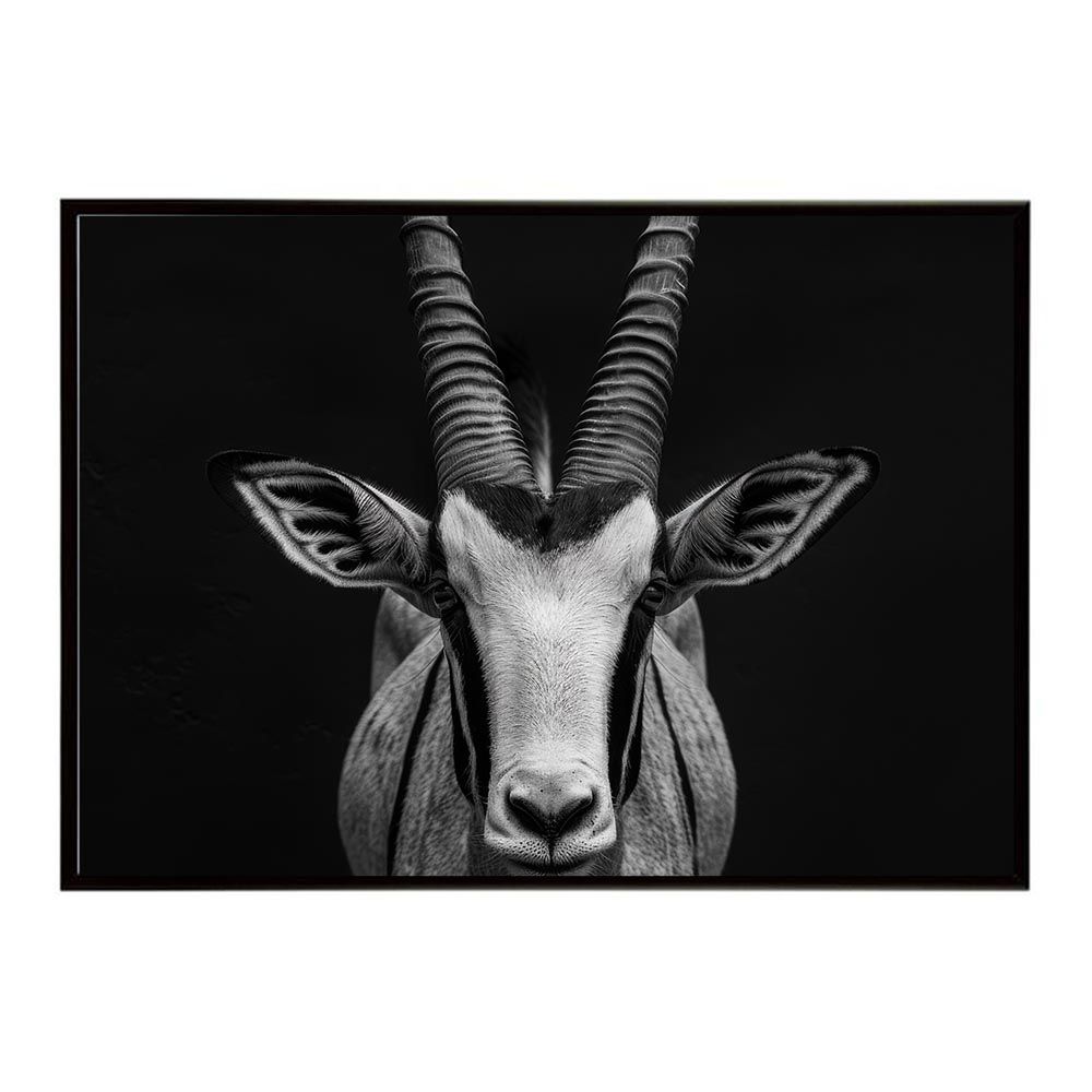 インテリア小物 【B3サイズ（約36x51cm）】【lh-poster-7284】Oryx