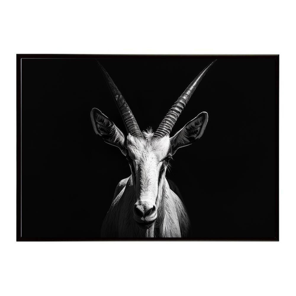 【¥31,650購入】【計40缶】期限2026.6 ヒルズ &アニモンダ腎臓ケア 31,650購入】【計40缶】期限2026.6 ヒルズ &アニモンダ腎臓ケア