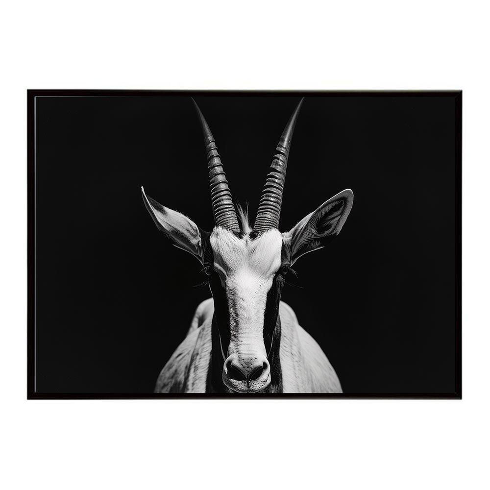 A1サイズ（約59x84cm）】【lh-poster-7288】Oryx オリックス サバンナ