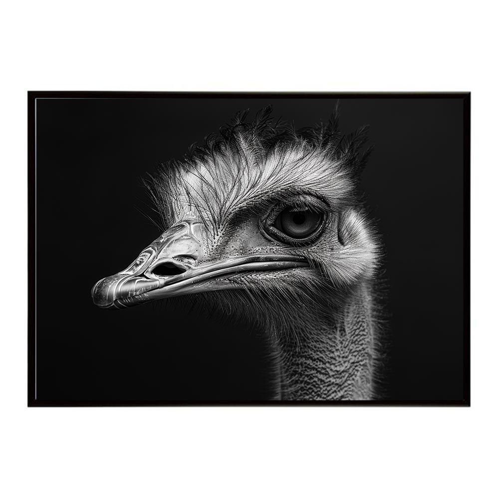 LEONARD ニットカットソー 黒 40 LEONARD ニットカットソー 黒 40