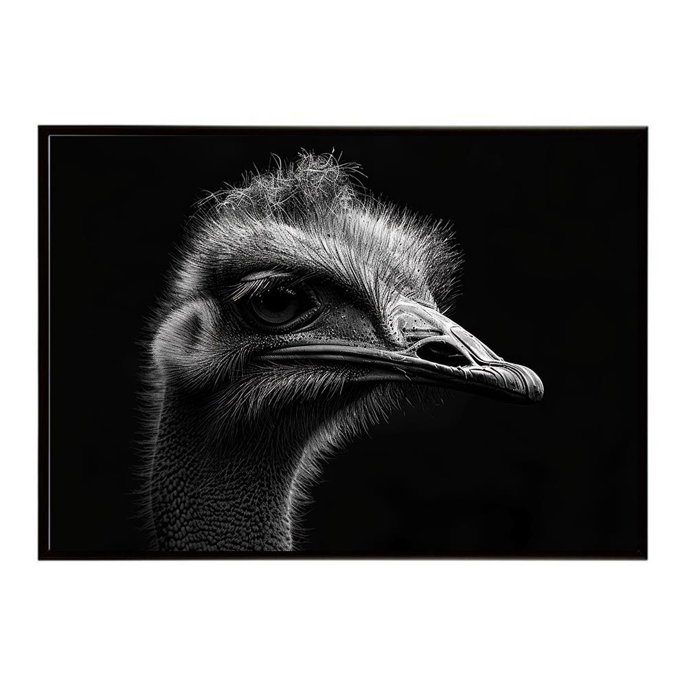【B3サイズ（約36x51cm）】【lh-poster-7299】Ostrich ダチョウ オーストリッチ サバンナ アフリカ 草原 自然 ネイチャー 動物 アニマル 野生動物 写真 鳥ポスター インテリア フォト