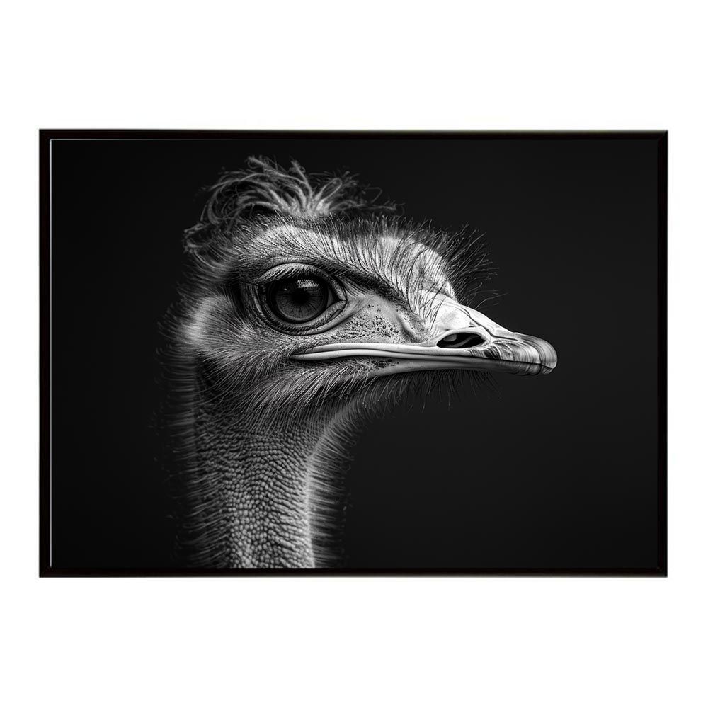【B1サイズ（約73x103cm）】【lh-poster-7305】Ostrich ダチョウ オーストリッチ サバンナ アフリカ 草原 自然 ネイチャー 動物 アニマル 野生動物 写真 鳥ポスター インテリア フォト