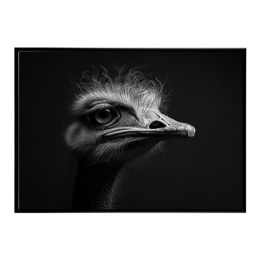 【A1サイズ（約59x84cm）】【lh-poster-7308】Ostrich ダチョウ オーストリッチ サバンナ アフリカ 草原 自然 ネイチャー 動物 アニマル 野生動物 写真 鳥ポスター インテリア フォト 