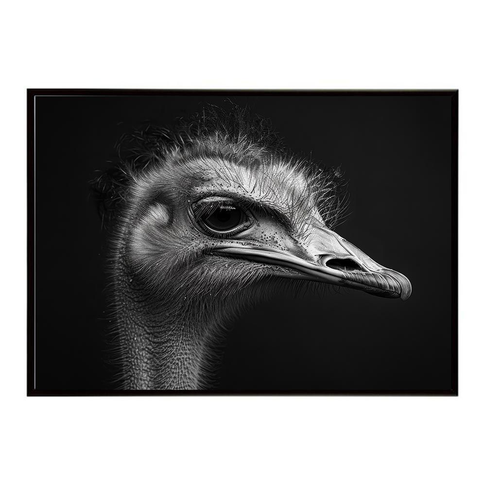 インテリア小物 【A4サイズ（約21x30cm）】【lh-poster-7309】Ostrich