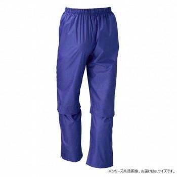 レイングローリー