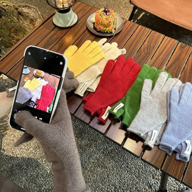 種類1 色指定 手袋 デザイン手袋 韓国ファッション 秋冬 T