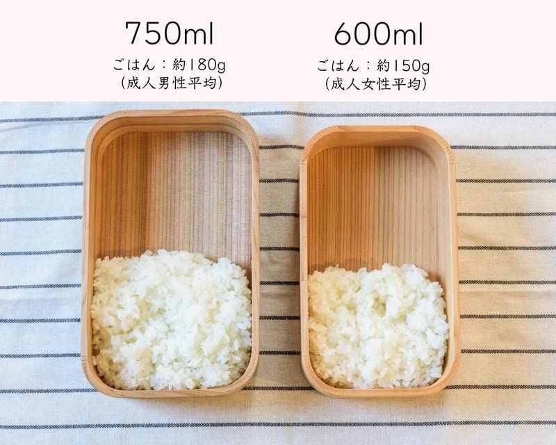  数量 三ツ星弁当箱 600 ml 洗剤で洗えてお手入れ簡単なわっぱ弁当 日本製 弁当箱 弁当袋 食器 キッチン用品