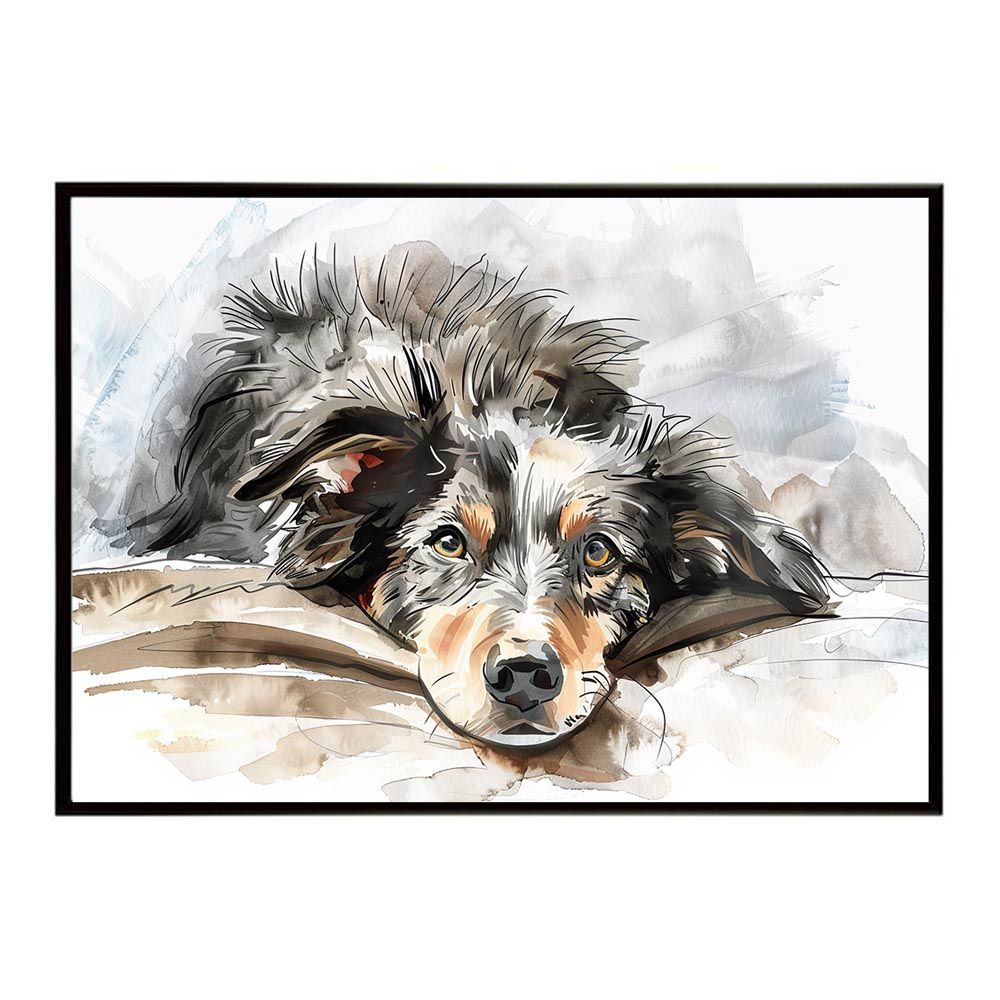 司馬遼太郎と城を歩く DVD-BOX 全8枚セット