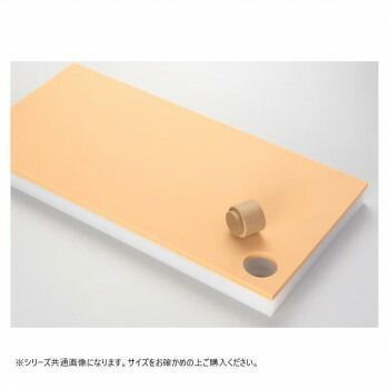 山県化学 ヤマケン 鮮魚用 まな板 5号B 750 450 mm