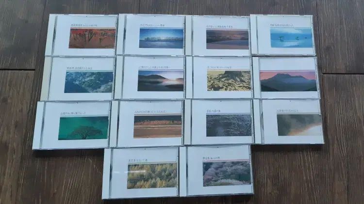 日本 歌手 行こう コンプリート CD 14 腸 セット