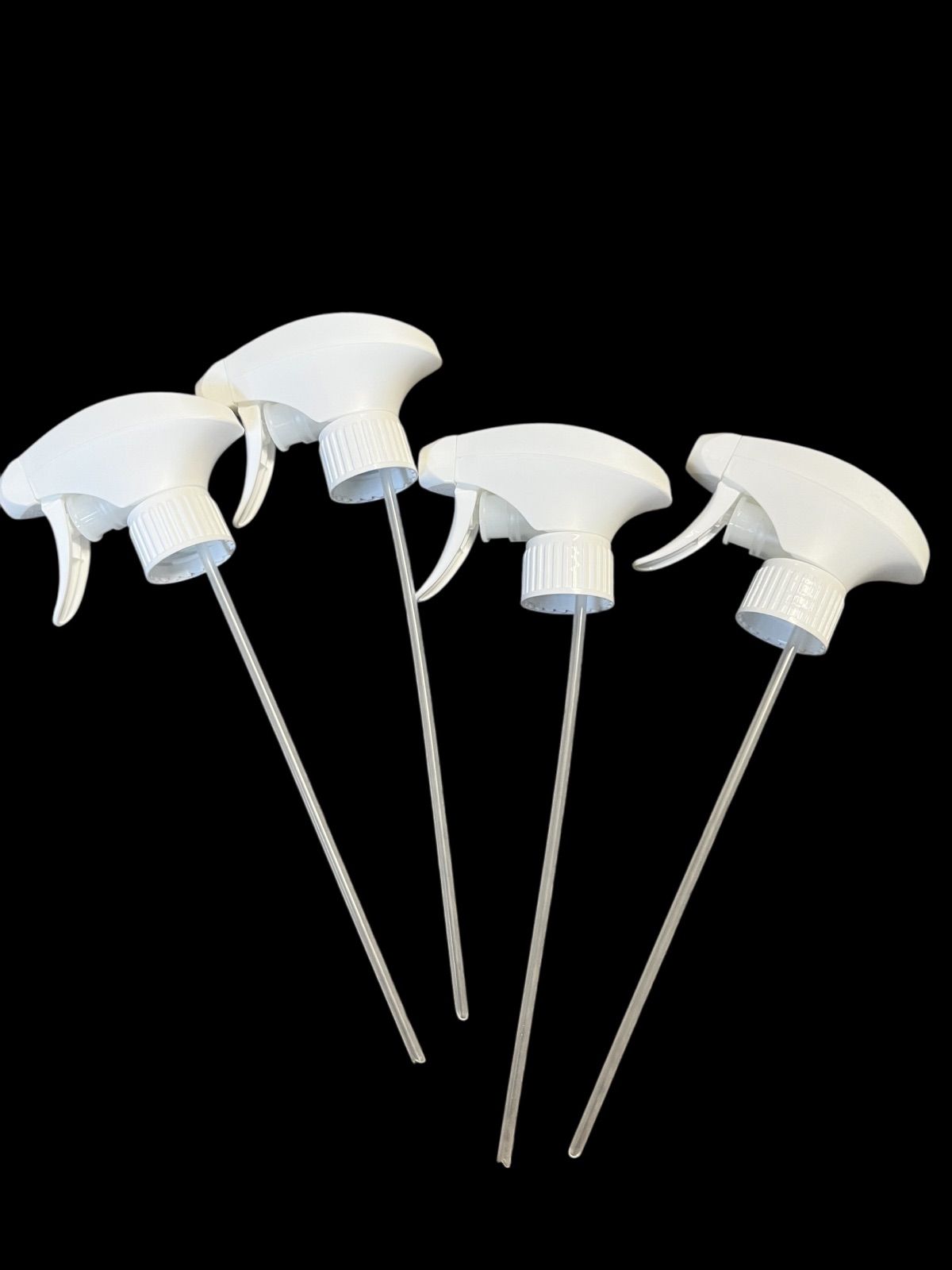 モルクリアプロ