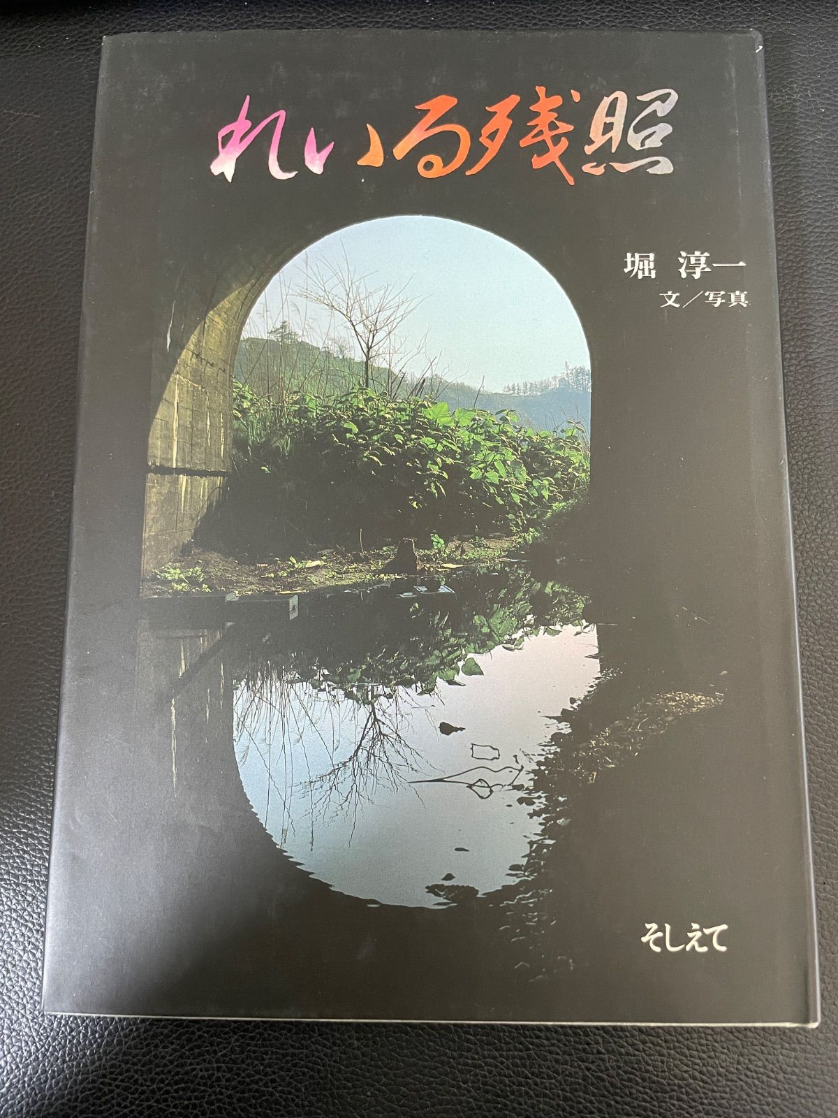 尾形丸 ギムノカリキウム属 抜き苗