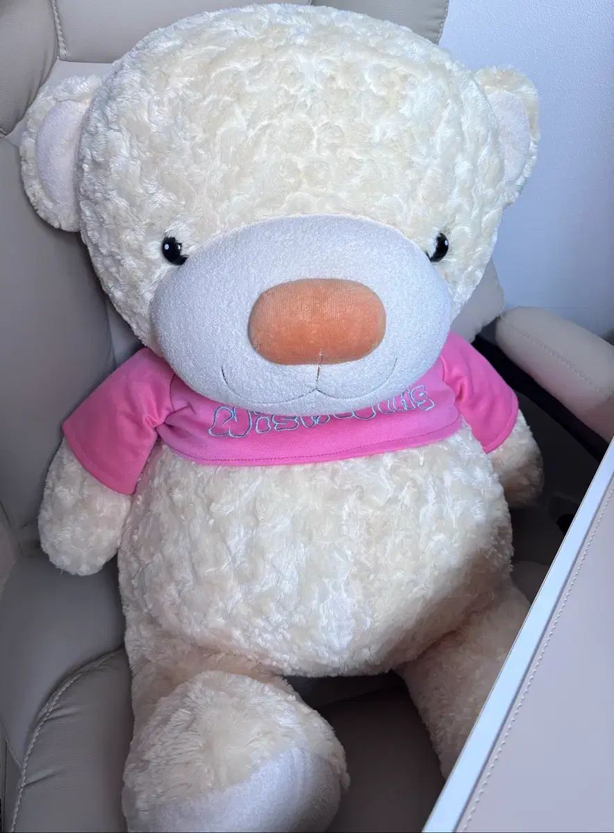 WIND AND WISH ウィング レトロ人形 大型