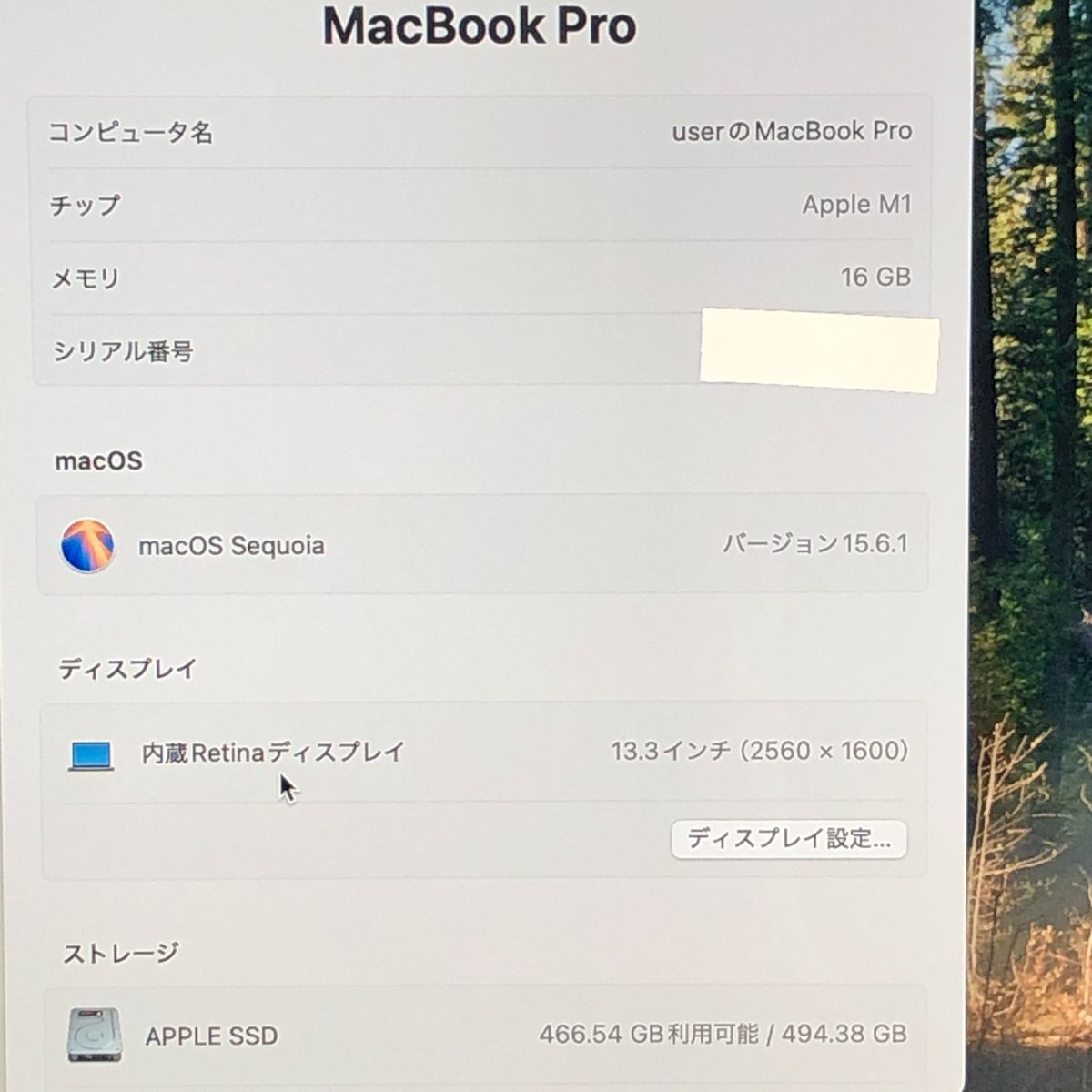 ◇ジャンク品・本体のみ◇Apple MacBook Pro (13インチ M1 2020)【M1