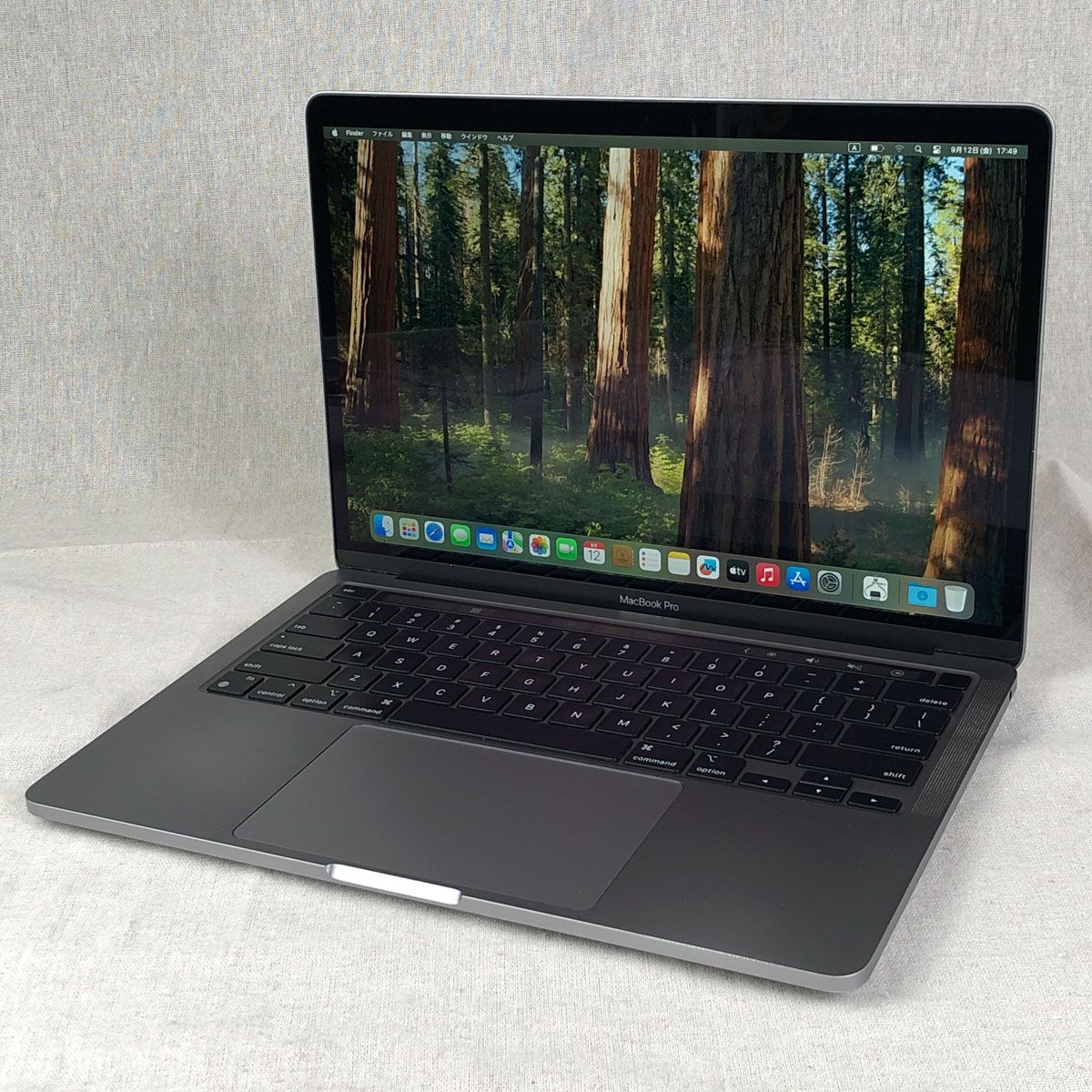 ◇ジャンク品・本体のみ◇Apple MacBook Pro (13インチ M1 2020)【M1