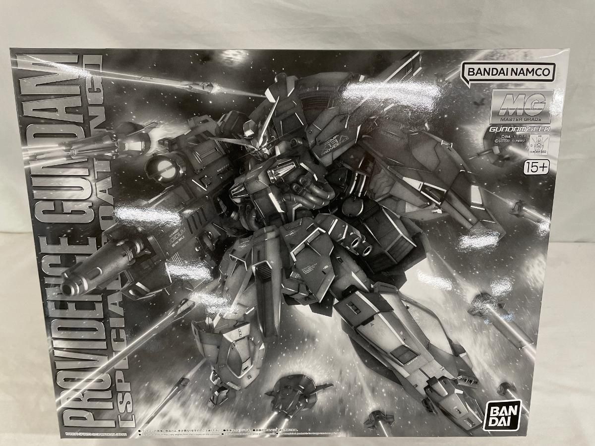 未開封】1/100 MG ZGMF-X13A プロヴィデンスガンダム [スペシャル