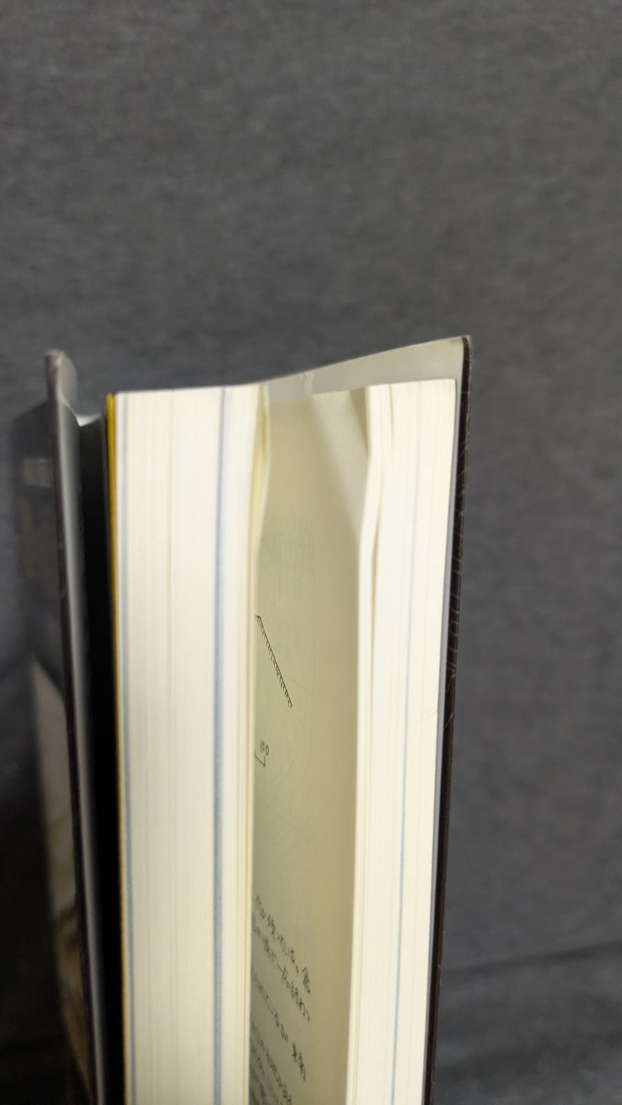 縄張図 断面図 鳥瞰図で見る信濃の山城と館2 更埴 長野編 宮坂武男 戎光祥出版