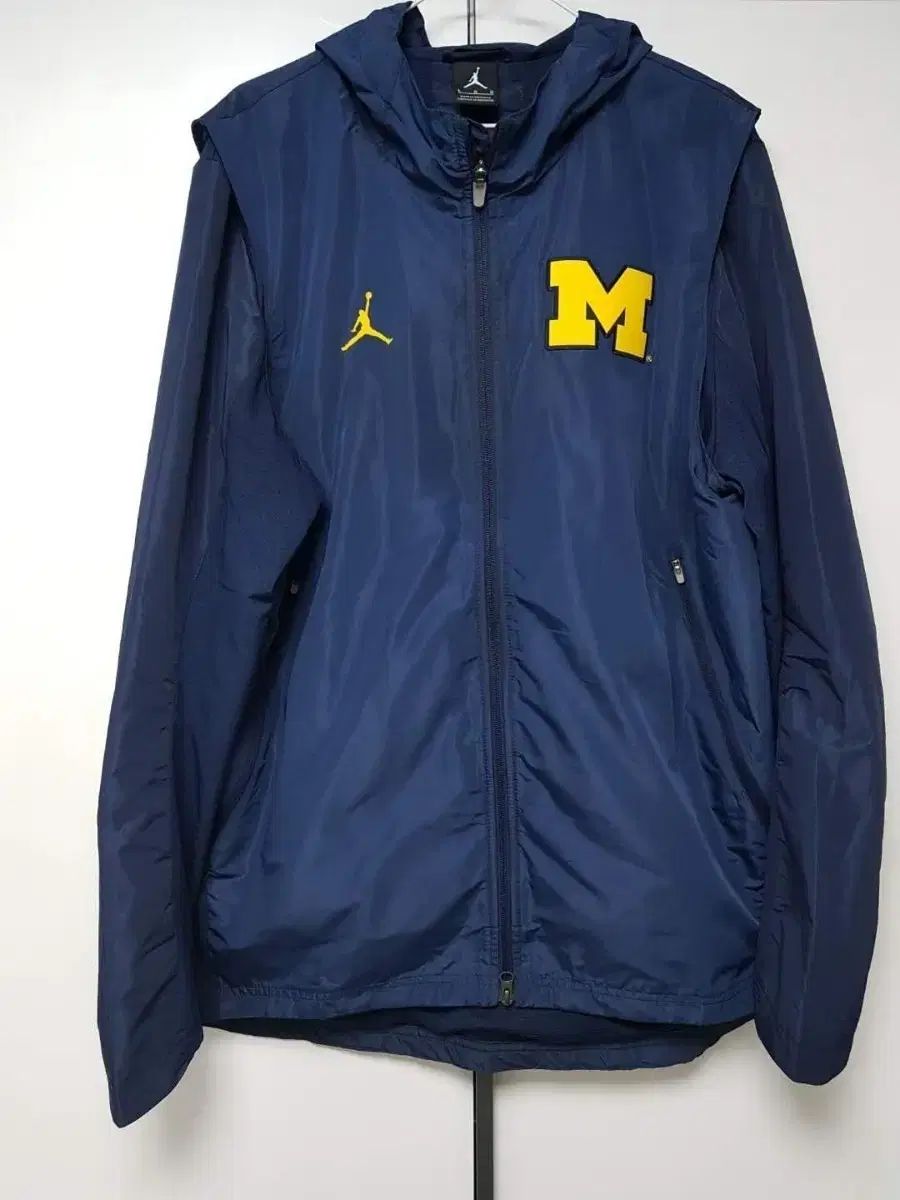 ナイキ ジョーダン BIGワッペン フーディー アウター