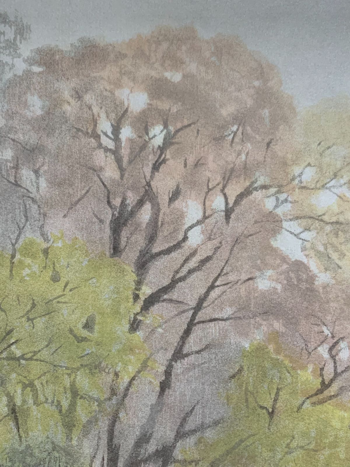 掛け軸】201 川合玉堂「彩雨」リトグラフ 日本画家 限定164/300部