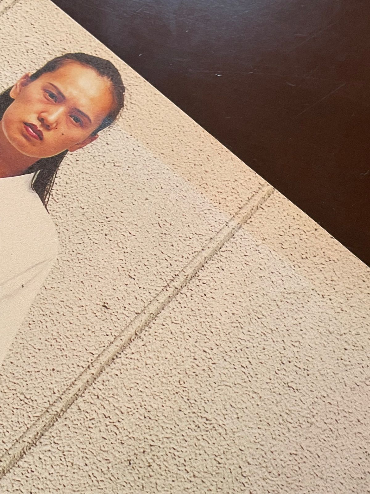 清野賀子 写真集 Chicken Skin Photograph