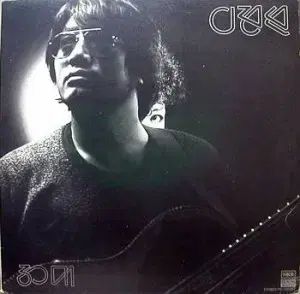 イ ジョンソン 7 家 30 対 偶然に 泣かない 女の子