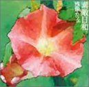 【-非常に良い】 素敵日和