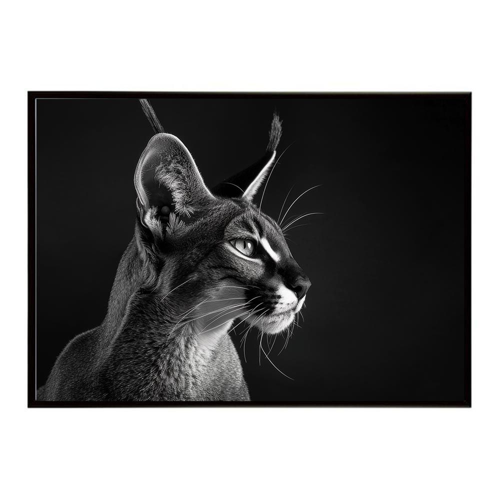 B2サイズ（約51x73cm）】【lh-poster-6268】Caracal カラカル カラカル