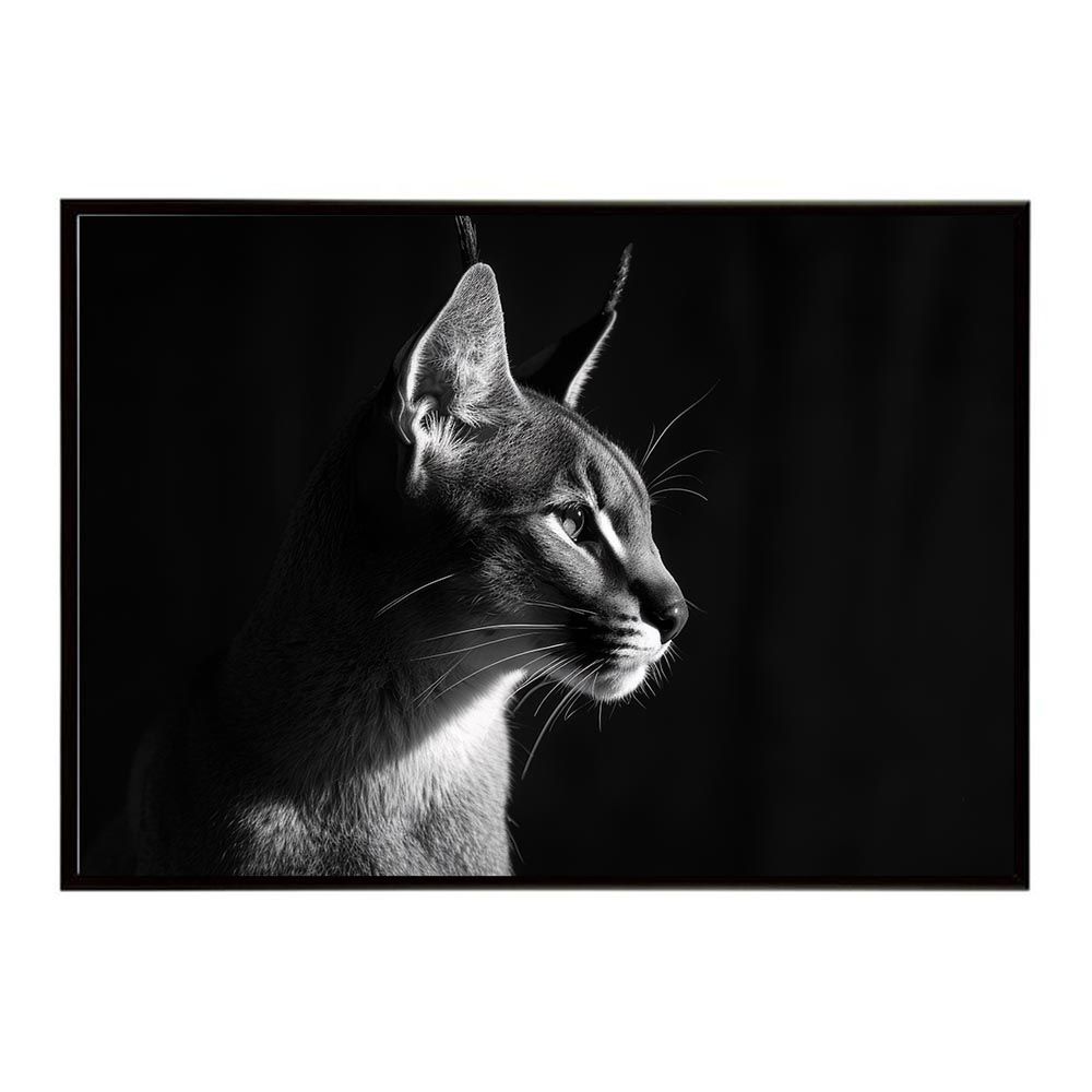 B4サイズ（約25x36cm）】【lh-poster-6269】Caracal カラカル カラカル