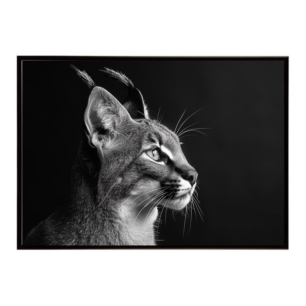 写真集 A1サイズ（約59x84cm）】【lh-poster-6275】Caracal カラカル カラカル