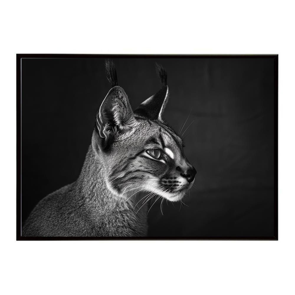 【直筆サイン付き】 二Ø二Øレコード トップハムハット狂×武富士アコム 直筆サイン付き】 二Ø二Øレコード トップハムハット狂×武富士アコム トップ