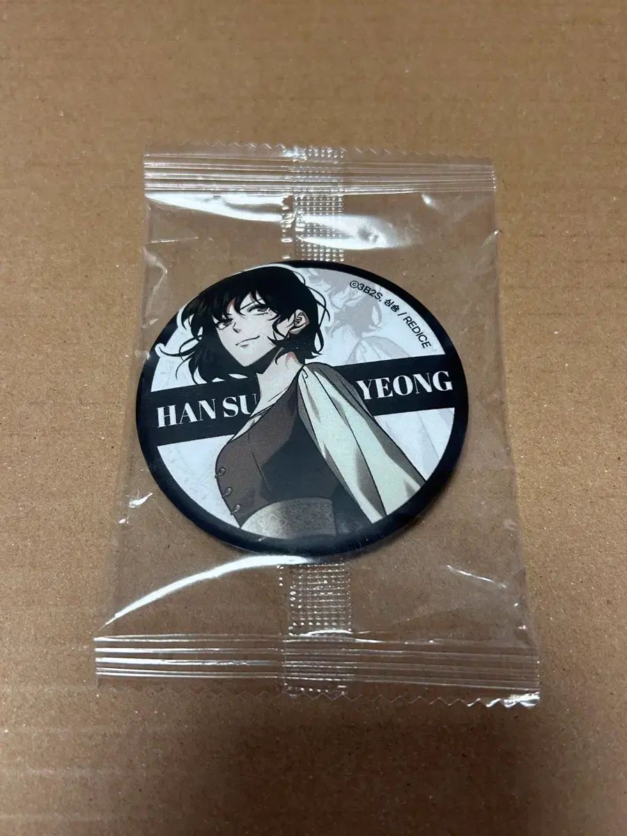 agf 全知的な読者の視点から ハン スヨン 缶バッジ フィルム マウント セット 全知的 読者 視点