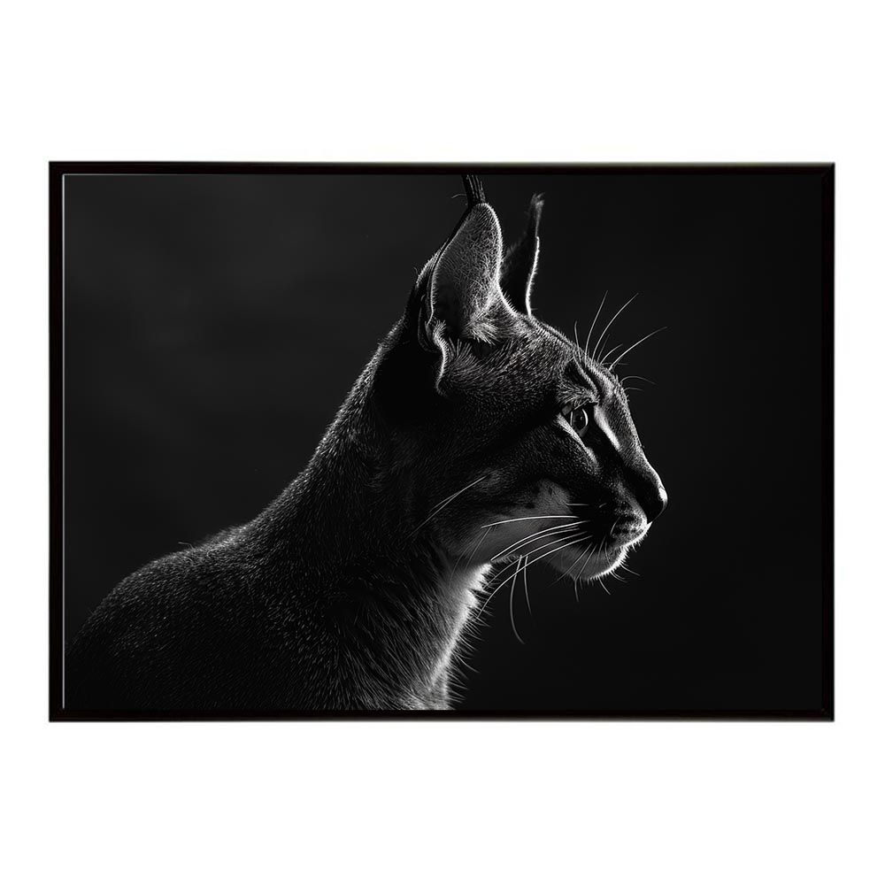 【A2サイズ（約42x59cm）】【lh-poster-6285】Caracal カラカル カラカルキャット サバンナ アフリカ 草原 自然 ネイチャー 動物 アニマル 野生動物 写真 猫ポスター インテリア フォト
